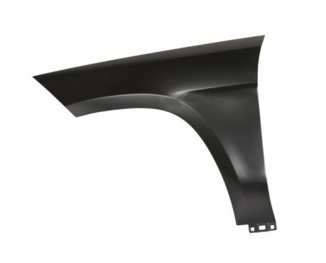 Wing