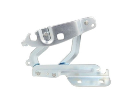 Hinge, bonnet