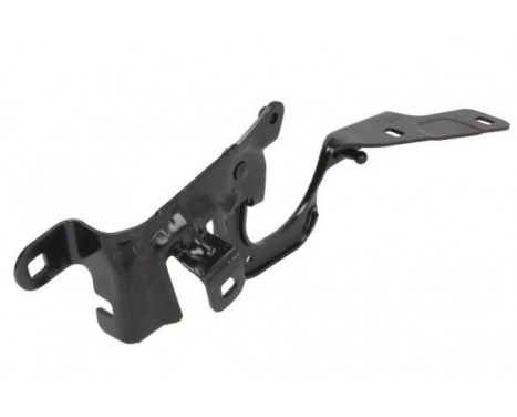 Hinge, bonnet, Image 2