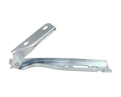 Hinge, bonnet