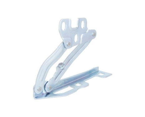 Hinge, bonnet