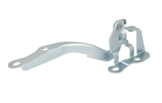 Hinge, bonnet