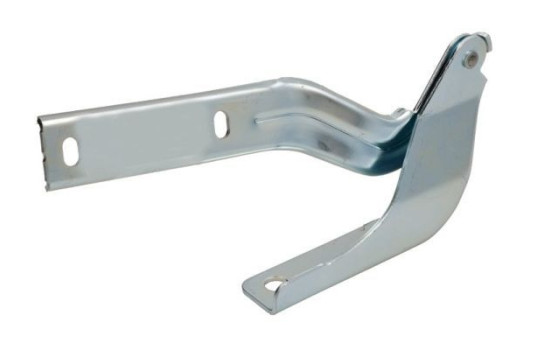 Hinge, bonnet