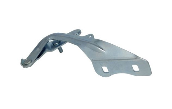 Hinge, bonnet