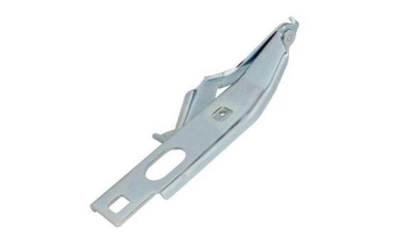 Hinge, bonnet