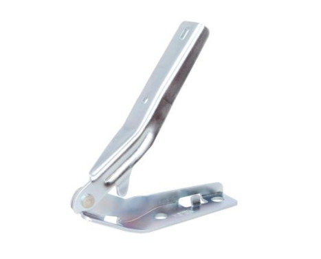 Hinge, bonnet