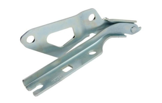 Hinge, bonnet
