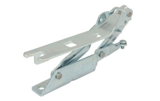 Hinge, bonnet