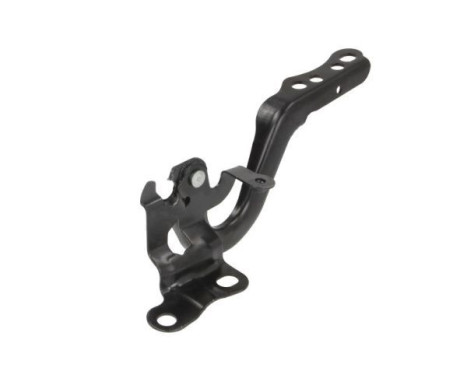 Hinge, hood, Image 2