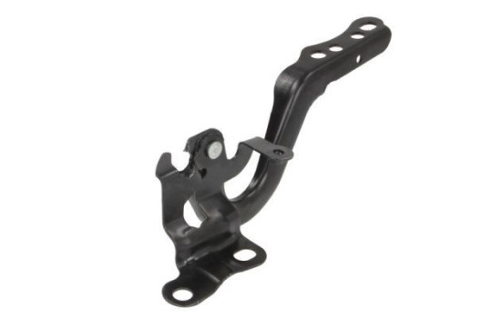 Hinge, hood, Image 2