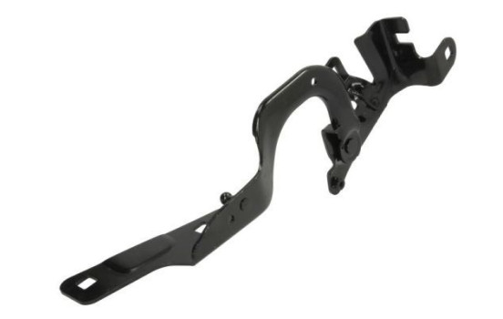 Hinge, hood, Image 2
