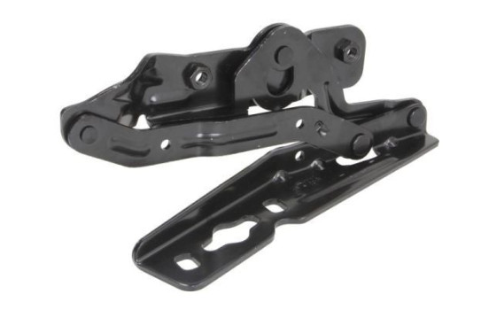 Hinge, hood, Image 2