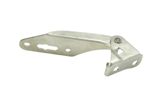 Hinge, hood, Image 2