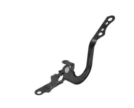 Hinge, hood, Image 2