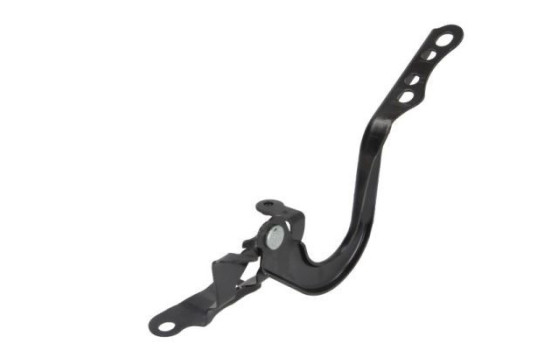 Hinge, hood, Image 2