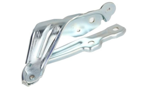 Hinge, hood, Image 2
