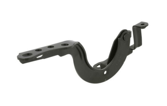 Hinge, hood, Image 2