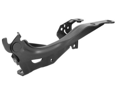 Hinge, hood, Image 2