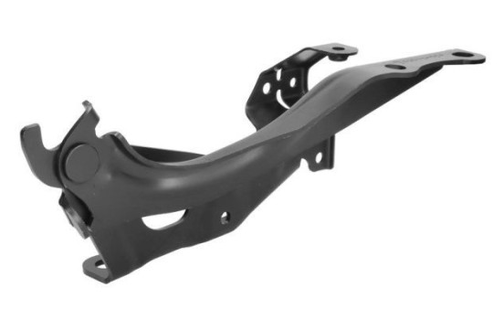 Hinge, hood, Image 2