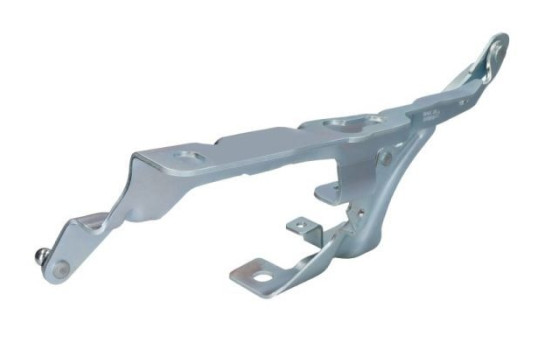Hinge, hood, Image 2