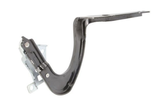 Hinge, hood, Image 2