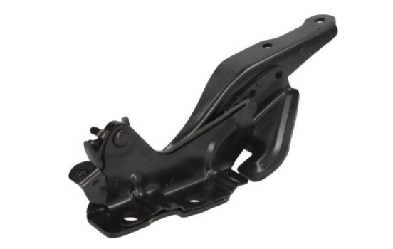 Hinge, hood, Image 2