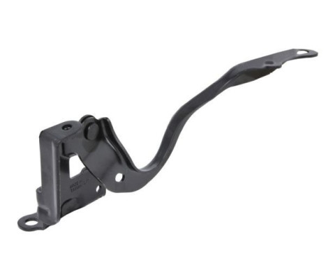 Hinge, hood, Image 2