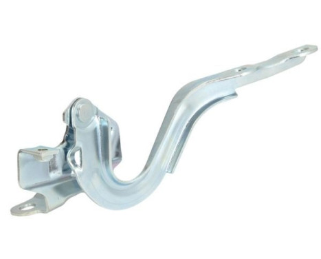 Hinge, hood, Image 2