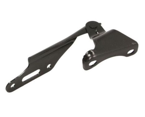 Hinge, hood, Image 2