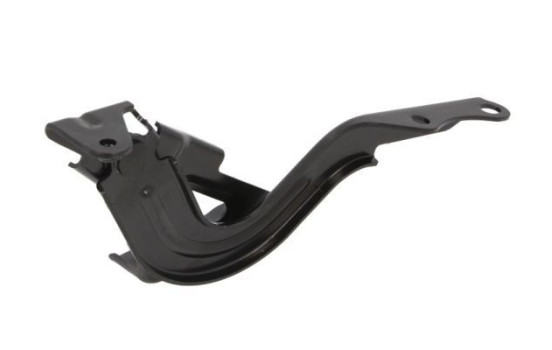 Hinge, hood, Image 2