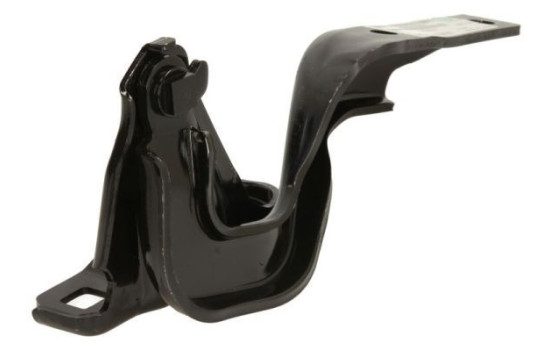 Hinge, hood, Image 2