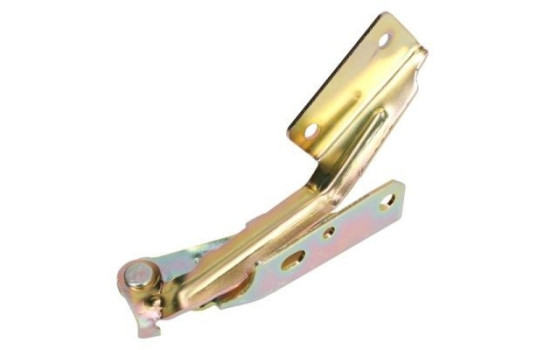 Hinge, hood, Image 2