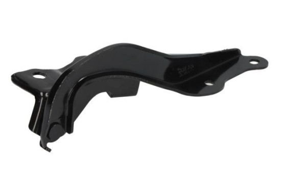 Hinge, hood, Image 2