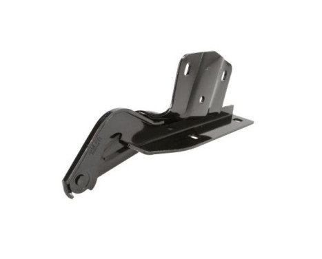 Hinge, hood, Image 2