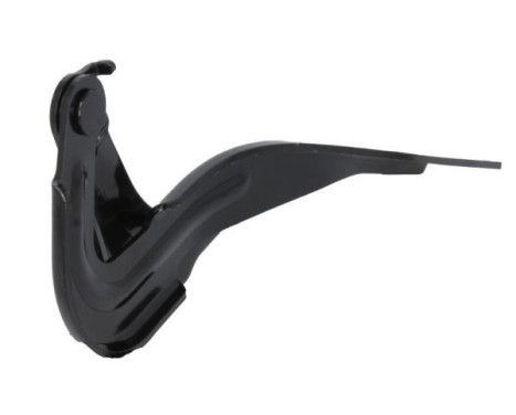 Hinge, hood, Image 2