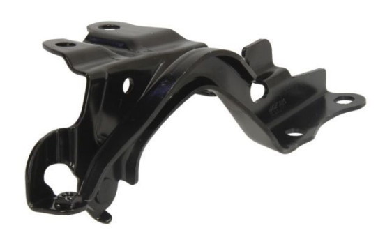 Hinge, hood, Image 2