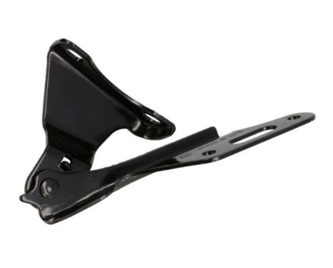 Hinge, hood, Image 2