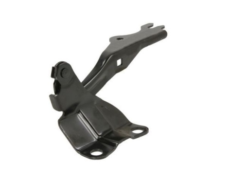 Hinge, hood, Image 2