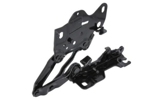 Hinge, hood, Image 2