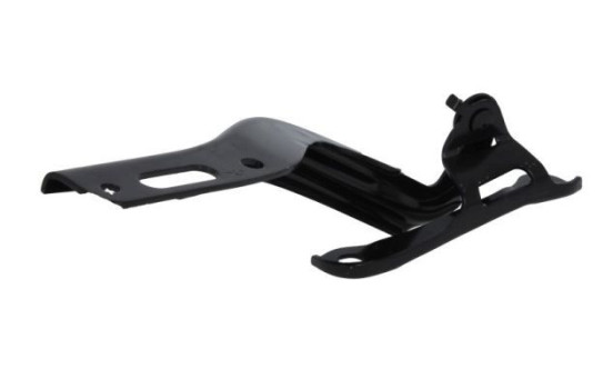 Hinge, hood, Image 2