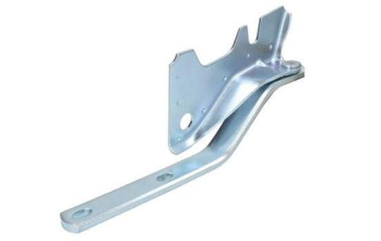 Hinge, hood