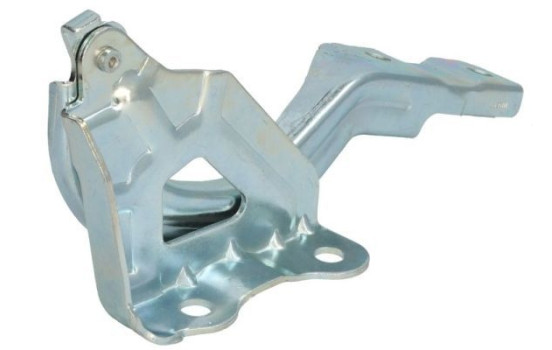 Hinge, hood, Image 2