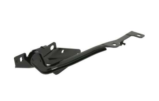 Hinge, hood, Image 2