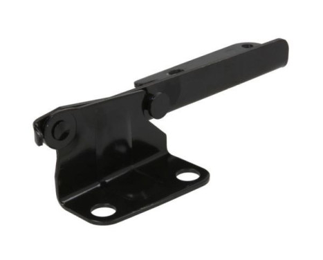 Hinge, hood, Image 2