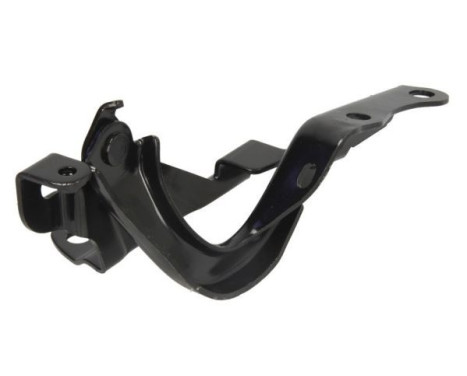 Hinge, hood, Image 2