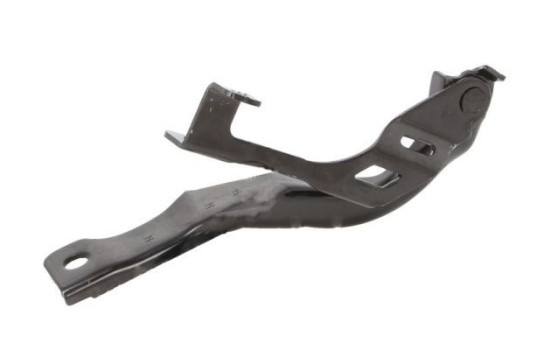 Hinge, hood, Image 2