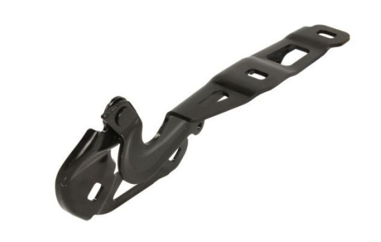 Hinge, hood, Image 2