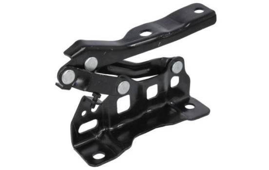 Hinge, hood, Image 2