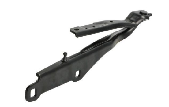 Hinge, hood