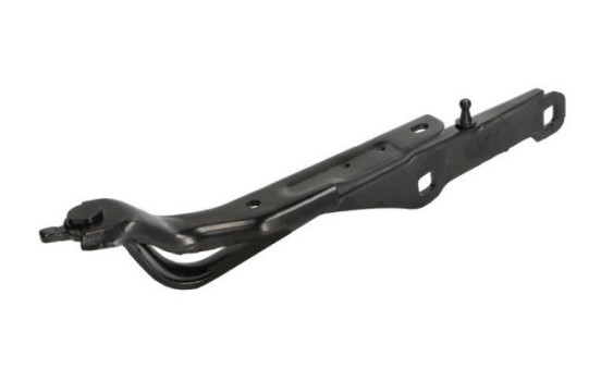 Hinge, hood, Image 2